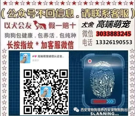 西安出售拉布拉多幼犬活體神犬小七拉布拉多活體寵物狗狗導盲犬拉西安咸陽市銅川市寶雞市渭南市延安市漢中市
