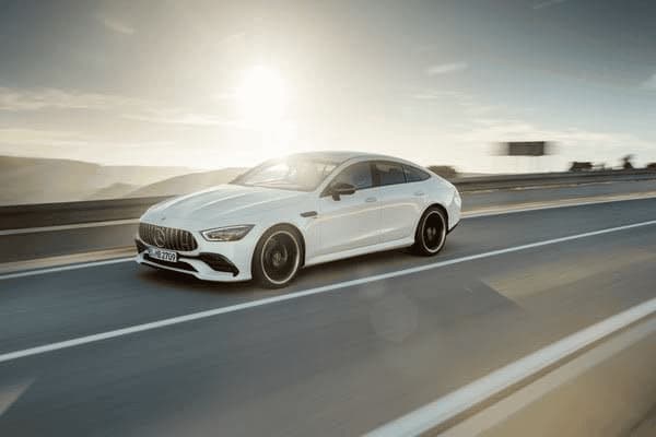 比熊犬不想拉屎怎么辦，比熊犬不想拉屎怎么辦呀